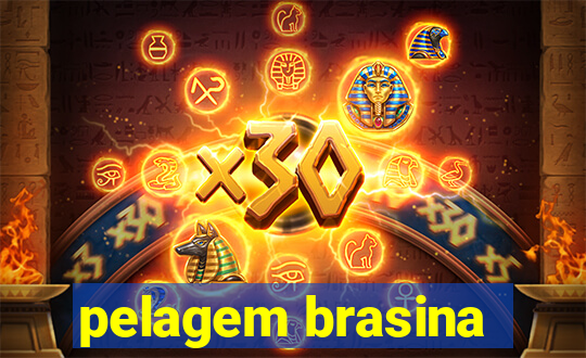 pelagem brasina